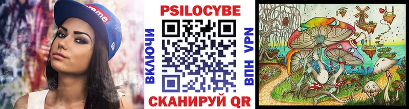 Галлюциногенные грибы Psilocybe  как найти закладки  Белинский 